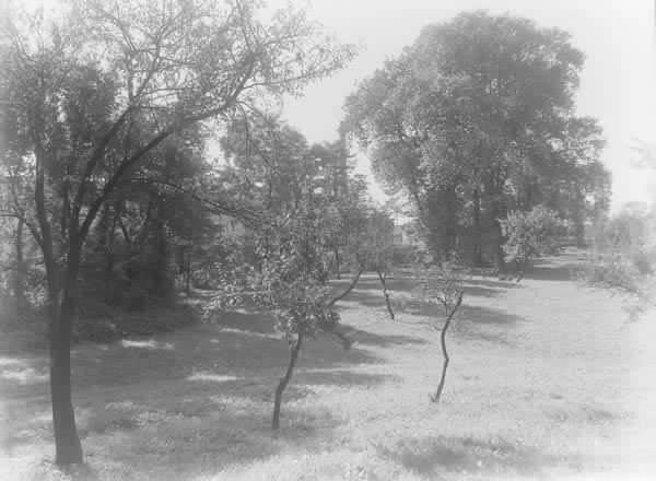 Parco di Villa Finzi